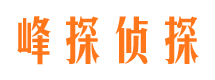 翼城市侦探调查公司